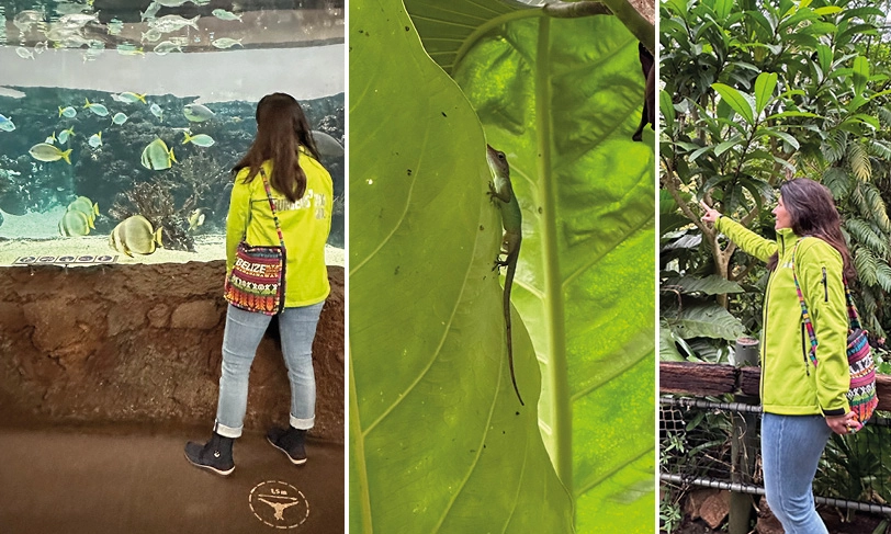 Burgers Zoo gids met dieren